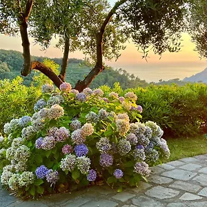 Incanto Appartement Vernazza